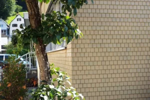 Ein Baum steht vor einer Schindelfassade mit sauber ausgeführtem Eckverband